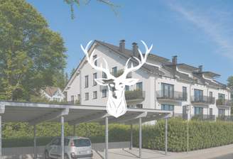 Bild1