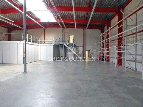Bergheim Halle, Bergheim Hallenfläche