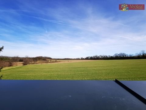 Schwarzau am Steinfelde Häuser, Schwarzau am Steinfelde Haus kaufen