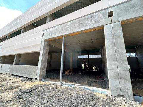 Lübeck Halle, Lübeck Hallenfläche
