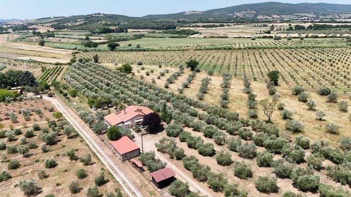 9F6B3367-032F-42B1-8266-B821194DC3D7_1_102_o