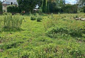 WhatsApp Image 2025-08-02 at 21.25.01