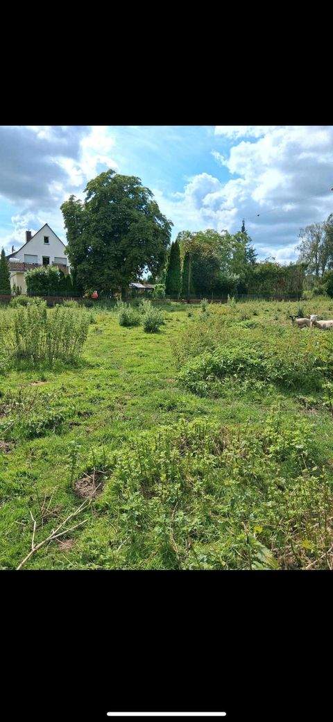 Belm Häuser, Belm Haus kaufen