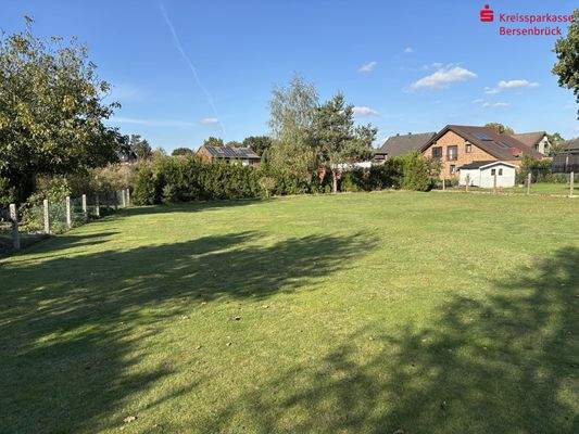 Aussicht in den Garten