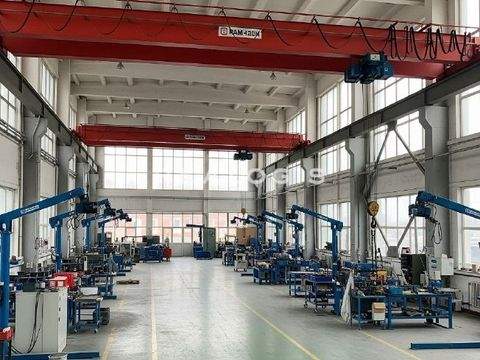 Ebersbach an der Fils Halle, Ebersbach an der Fils Hallenfläche