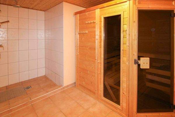 Sauna mit begehbarer Dusche