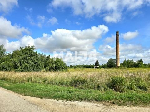 Mezotne Bauernhöfe, Landwirtschaft, Mezotne Forstwirtschaft