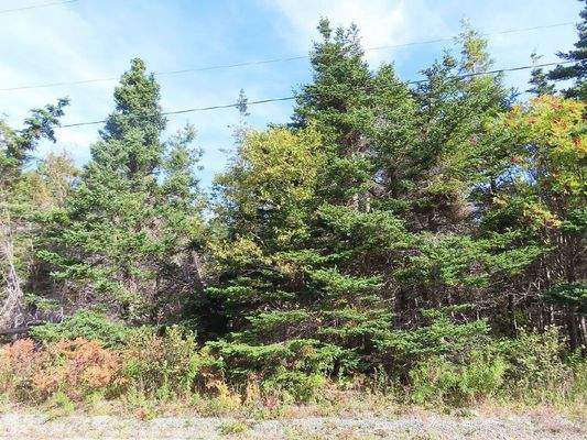 Cape Breton - Belfry Lake - Traumhaft schöne Lage 