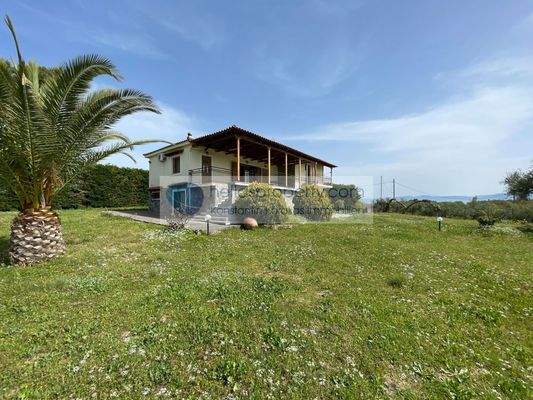 1d545cd4e46847da913caec367b5e439-original