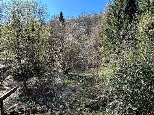 Blick vom Balkon auf das Grundstück