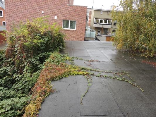 Bild (14).JPG