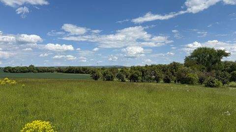 Arnstadt Grundstücke, Arnstadt Grundstück kaufen