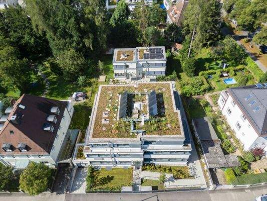 begrüte Flachdächer