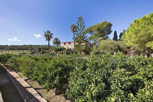 Montuiri Mallorca Landhaus finca zum Verkauf  Grundstück 89021