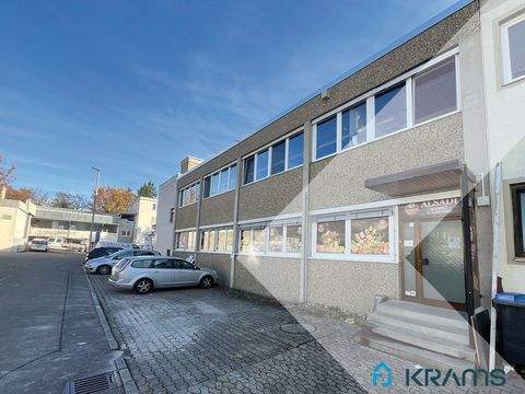 Eningen Halle, Eningen Hallenfläche