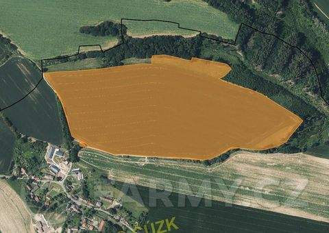 Doubravice Bauernhöfe, Landwirtschaft, Doubravice Forstwirtschaft