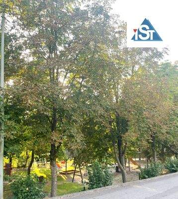 Spielplatz in Hausnähe.jpg