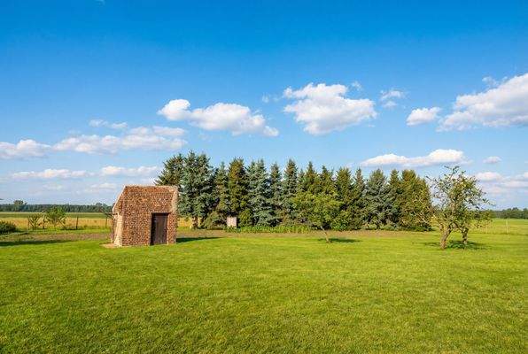 Baumgruppe nahe Grundstücksgrenze