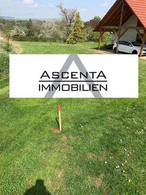 Feldstrasse 01_Ascenta.jpg