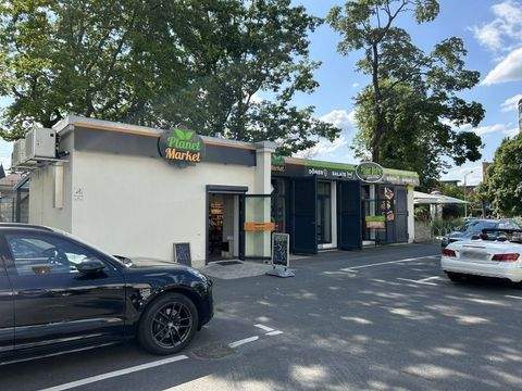 Dresden Ladenlokale, Ladenflächen 