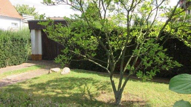 Garten mit Garage