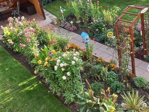 Blumenoase im Sommer