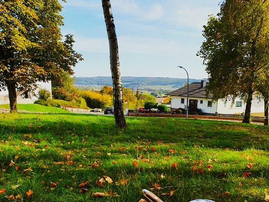 Taunusblick