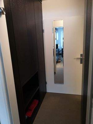 Eingangstüre, Diele und Garderobe  