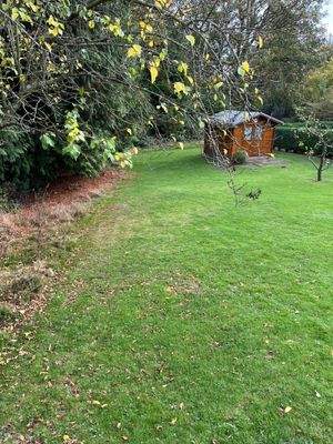 Oberer Teil des Grundstücks