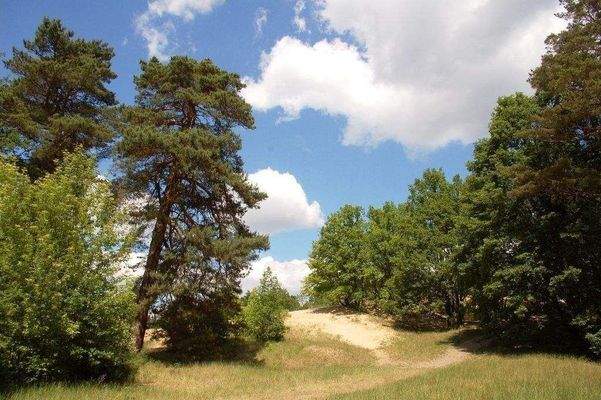 Heiligenseer Baumberge