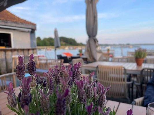 Buhne 9 - Seebad Altefähr