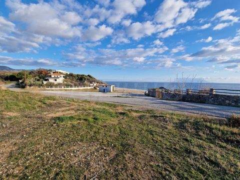 Maronia Industrieflächen, Lagerflächen, Produktionshalle, Serviceflächen