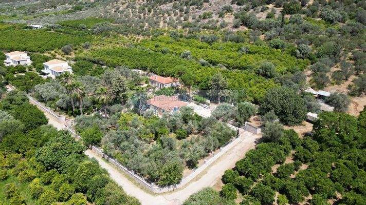 img_cccdb72c-b3e0-4843-b31a-11f28624be21