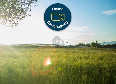 Eschede Bauernhöfe, Landwirtschaft, Eschede Forstwirtschaft