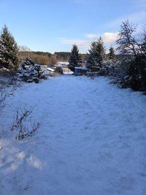 Wiesse im hinteren Teil