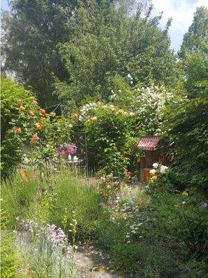 Garten (5).jpg