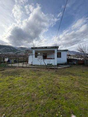 WhatsApp Image 2025-12-29 at 13.02.27 (2).jpeg