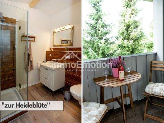 Impressionen zur Heideblüte