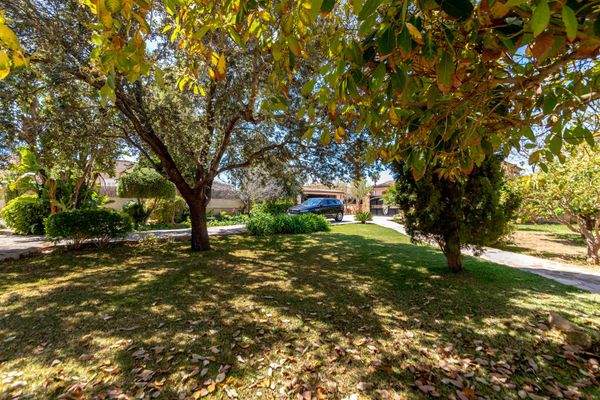 Außenbereich und Garten des Stadthauses