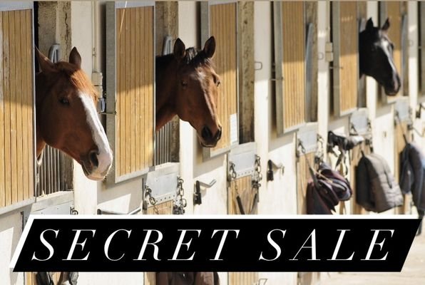 Secret Sale