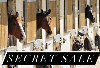 Secret Sale