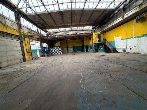 Hamm Halle, Hamm Hallenfläche