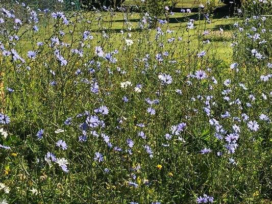 ...im nächsten Sommer.