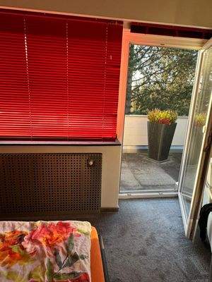 WhatsApp Image 2024-10-25 at 13.19.52(12).jpeg