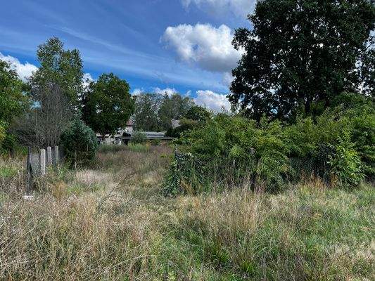 Ansicht Baugrundstück