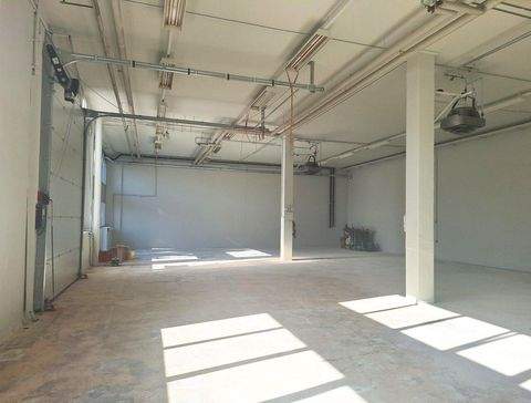 München Halle, München Hallenfläche