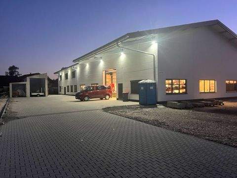 Übersee Halle, Übersee Hallenfläche