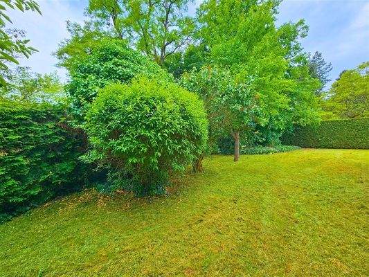 20250521_134407 - bearbeitet