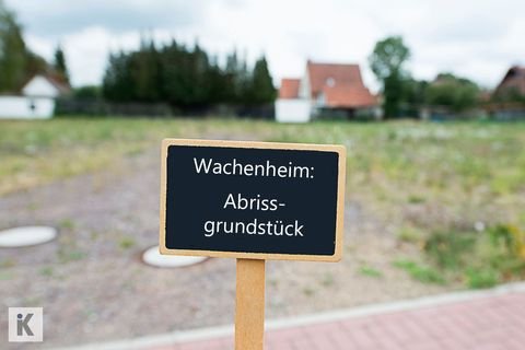 Wachenheim an der Weinstraße Grundstücke, Wachenheim an der Weinstraße Grundstück kaufen