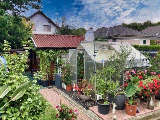 Gewächshaus